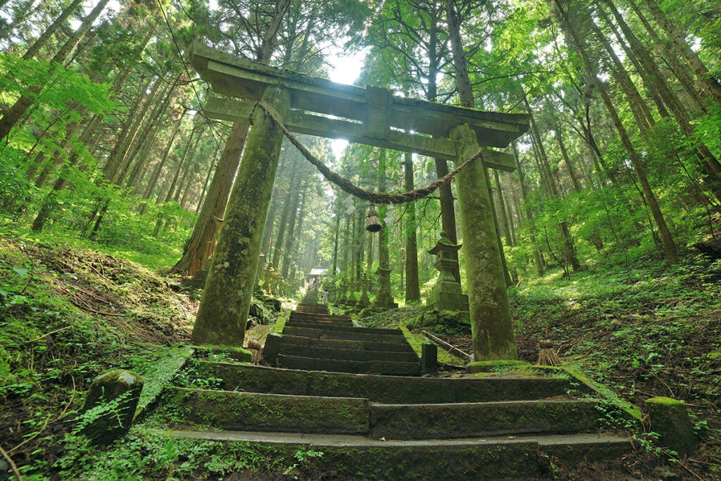 神社とお寺では「神社」の方が歴史が古いイメージ