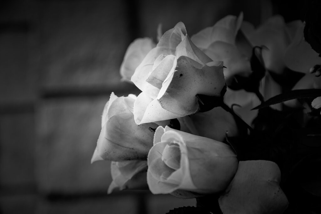 造花は縁起が悪い？のイメージ