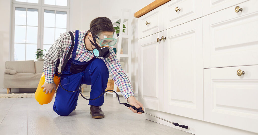  築古物件で懸念される「ゴキブリ」問題と対策のイメージ