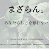 大分市で訪問介護を展開するIMIRU株式会社のあなたらしさを支える支援